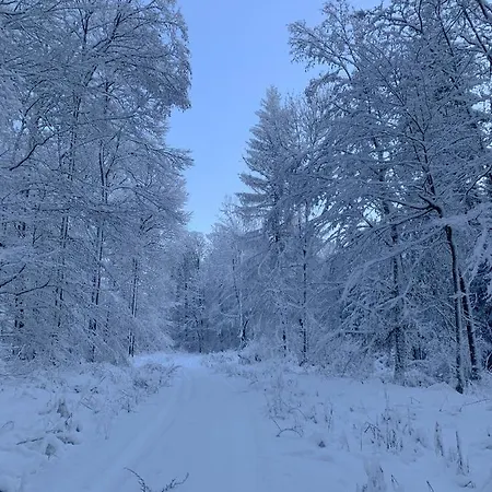 Inmitten Der Mit Sauna * Steinau an der Straße