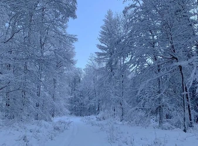 Inmitten Der Mit Sauna * Штайнау-ан-дер-Штрасе