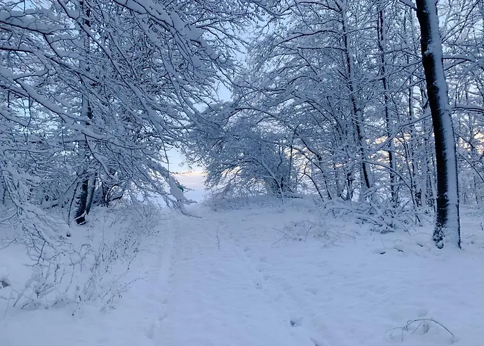 Apartmán Inmitten Der Mit Sauna *